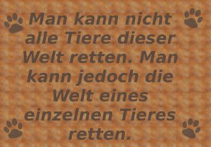 tierspruch