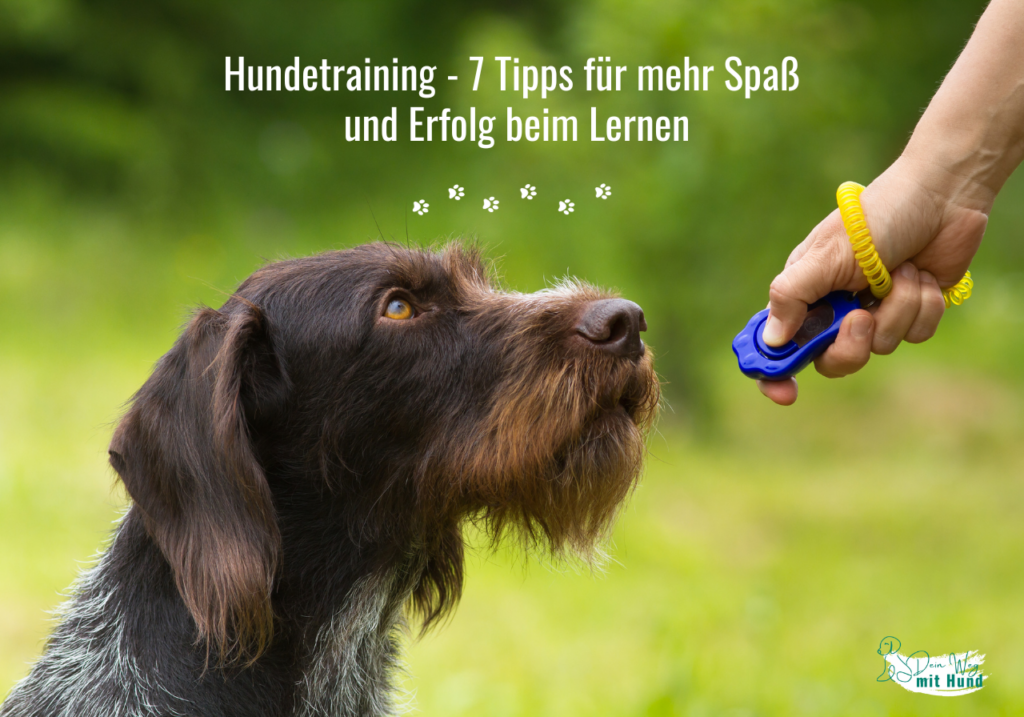 Hundetraining