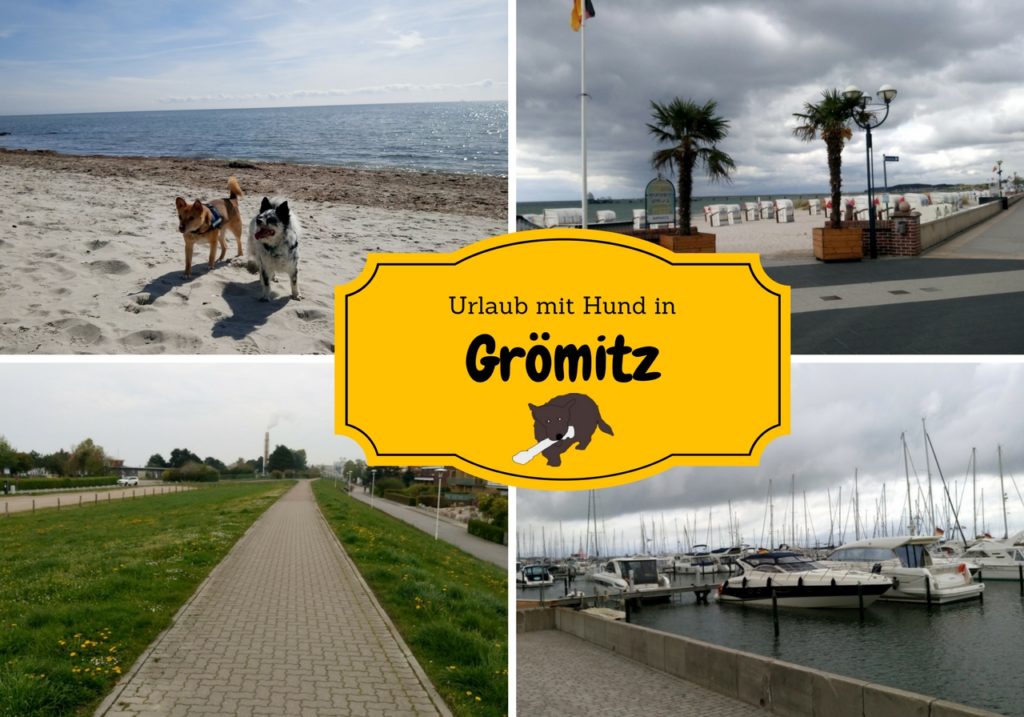 Ostseeurlaub Mit den Hunden in Grömitz Dein Weg mit Hund