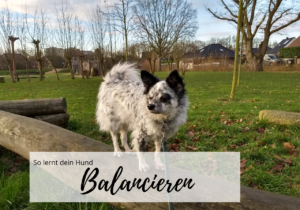 Balancieren
