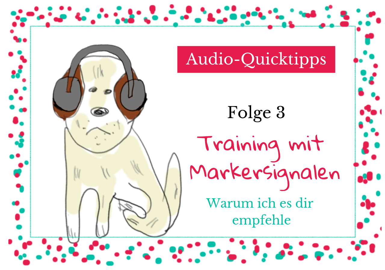 Audio-Quicktipps #003 – Training mit Markersignalen, warum ich es dir empfehle
