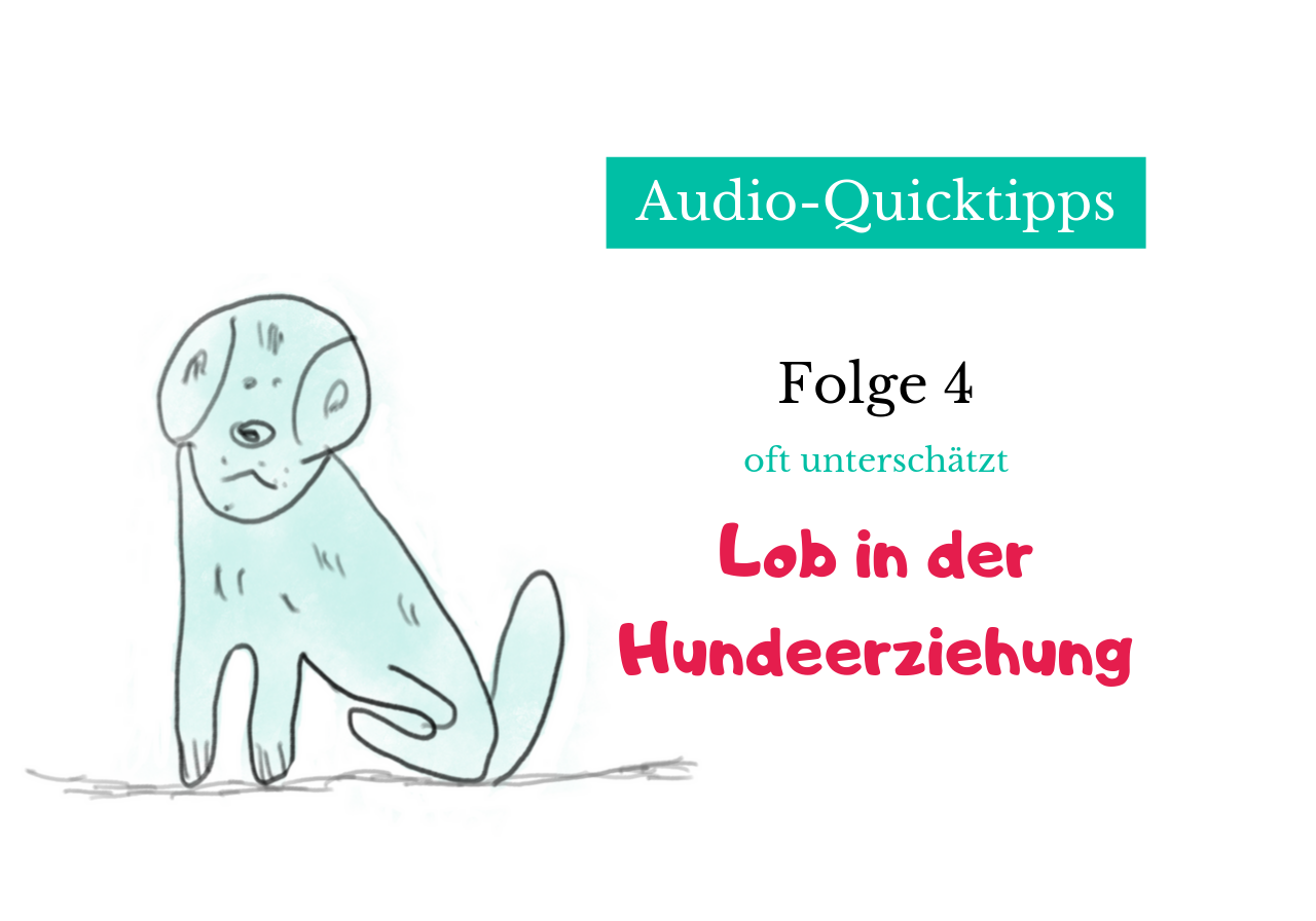 Audio-Quicktipps #004 – Oft unterschätzt: Das Lob in der Hundeerziehung