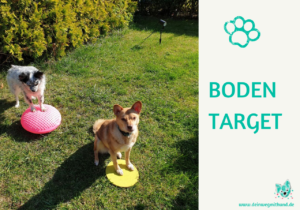 Bodentarget