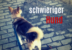 schwieriger Hund