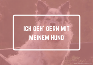 Gassi gehen mit dem Hund
