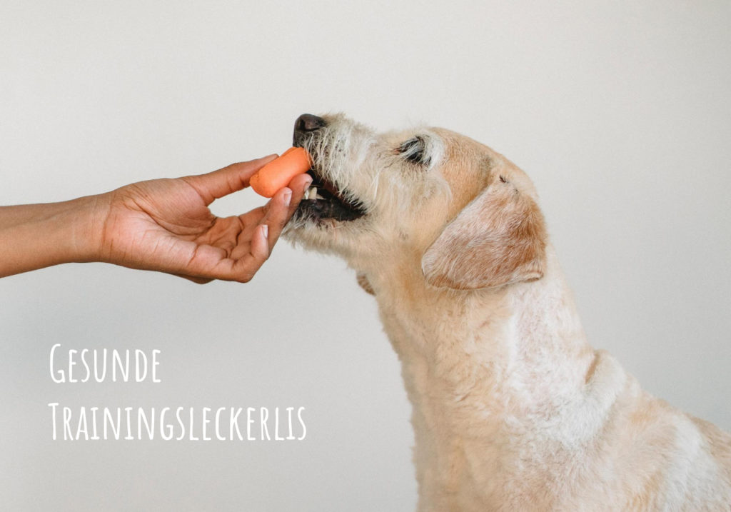 Trainingsleckerlis