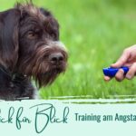 Übung Click für Blick Training am Angstauslöser