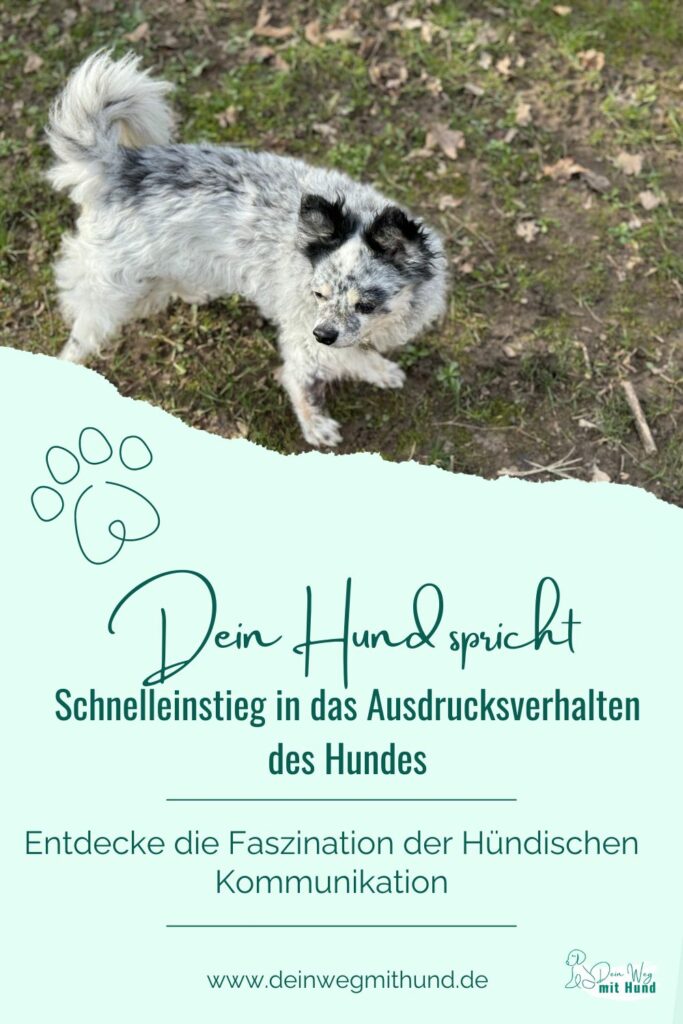 Ausdrucksverhalten Hund