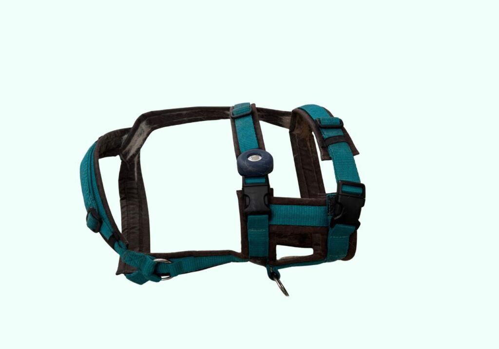 Sicherheitsgeschirr für Hunde mit zwei Riemen